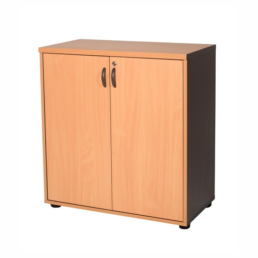 Swing Door Cabinet